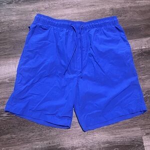 Vintage-Retro American Eagle Outfitters Vibrant Blue Swim Trunks